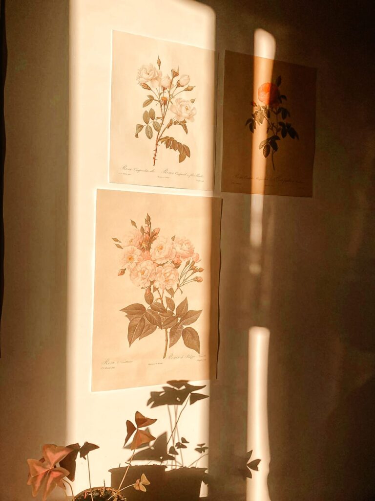 mon histoire de thérapeute